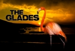 The Glades Wallpaper 